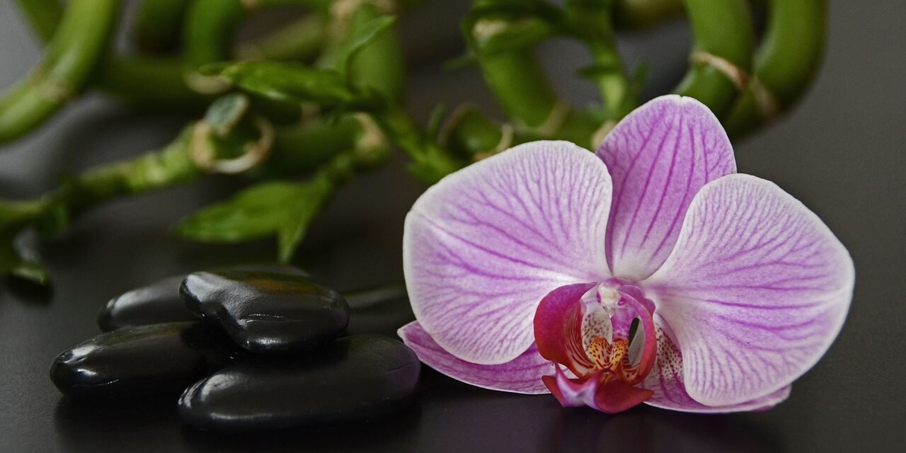 Celiulitas-pagrindines-priezastys-ir-gydymas-masazu-1280×640 celiulitas